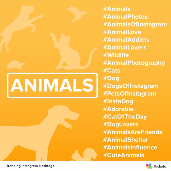 动物标签图表